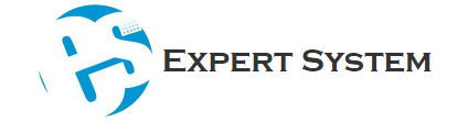 Expert System